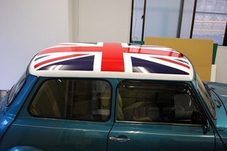 ROVER mini