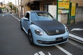 VW The Beetle