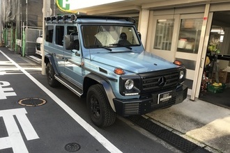 BENZ g350d professional