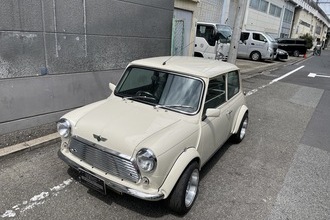 ROVER MINI