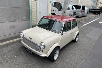 ROVER MINI