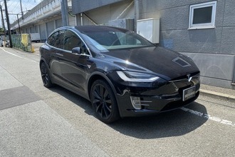 Tesra model X